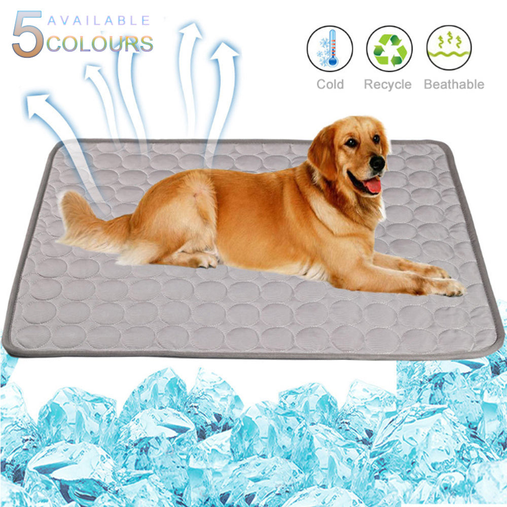 Pet Gear