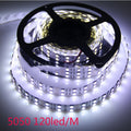 12V Double Row 120 LEDs 5050 LED Strip Per Meter