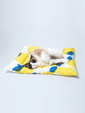 Pet Gel Cooling Sleeping Pad Dog Mat