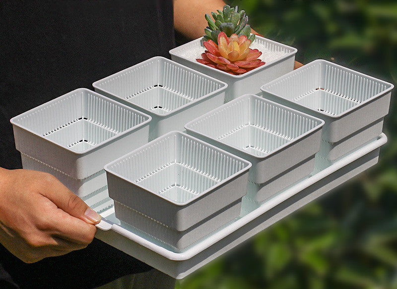 Controlled Root Succulent Plastic Flower Pot