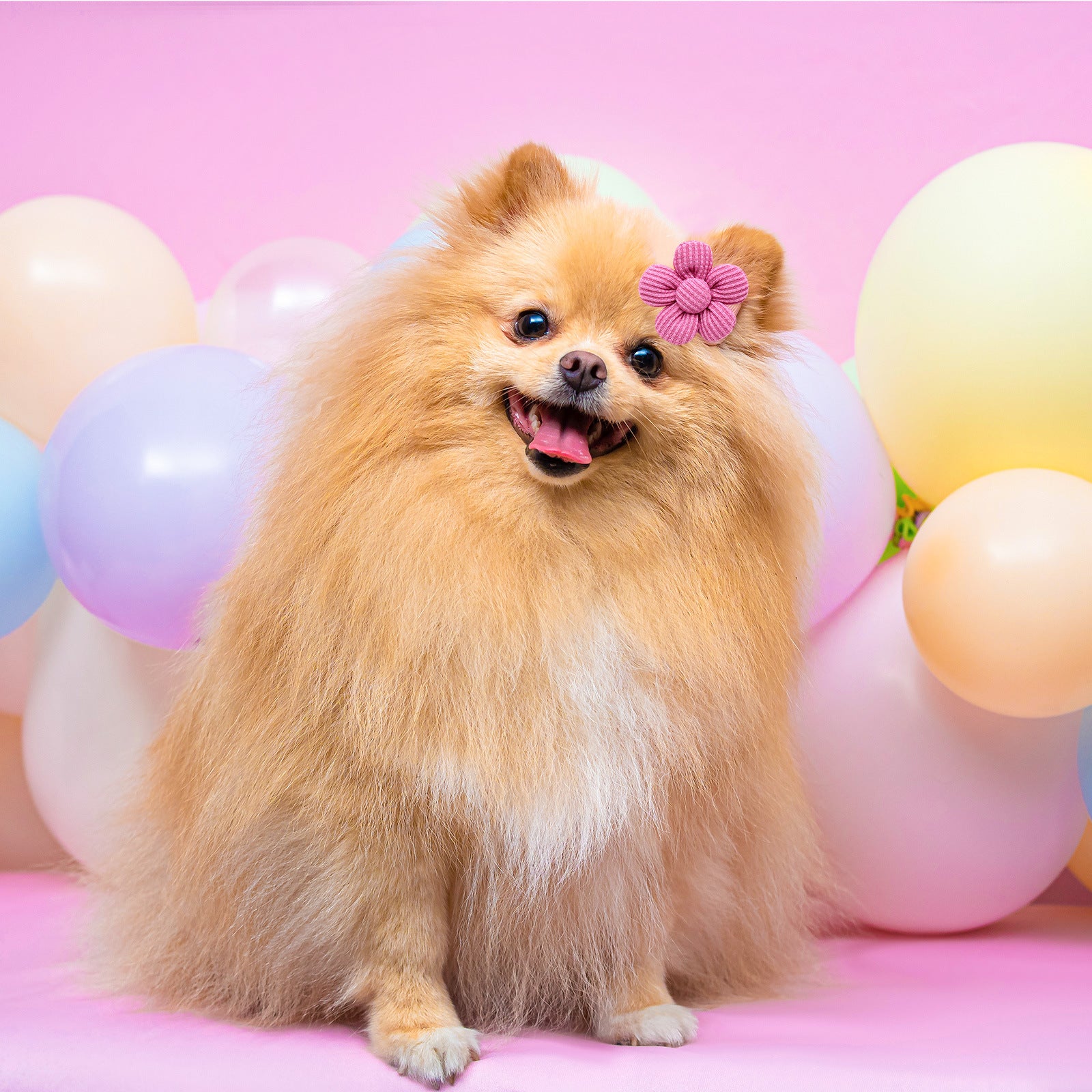 Pet Flower Headdress Hair Bow Dog Cat Floral Grooming Accessory